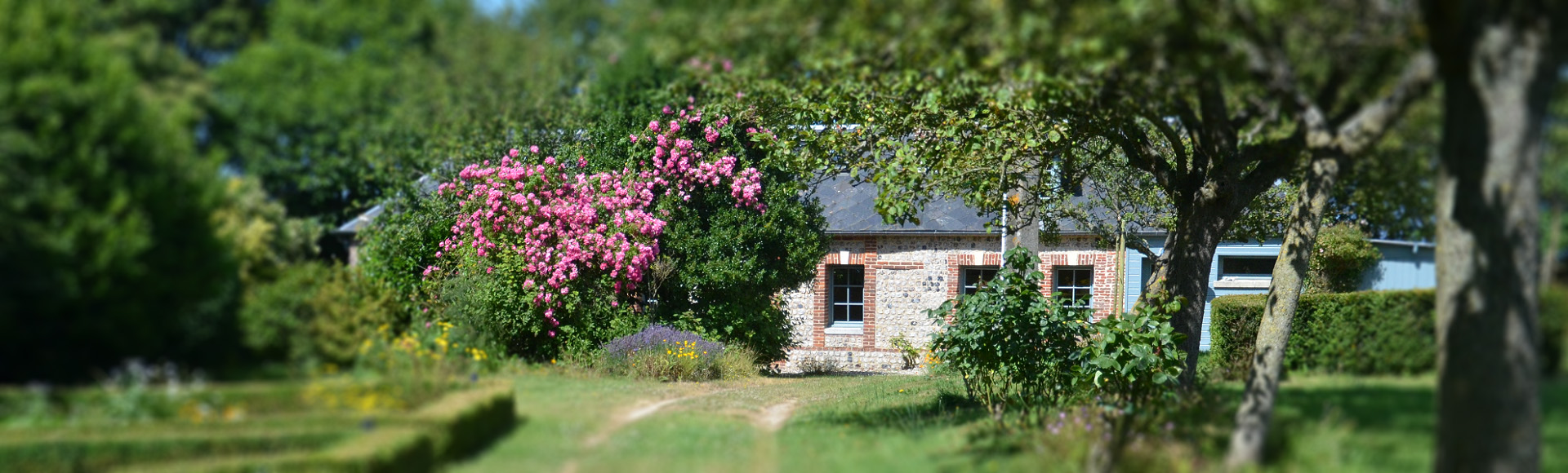 Au milieu de la verdure